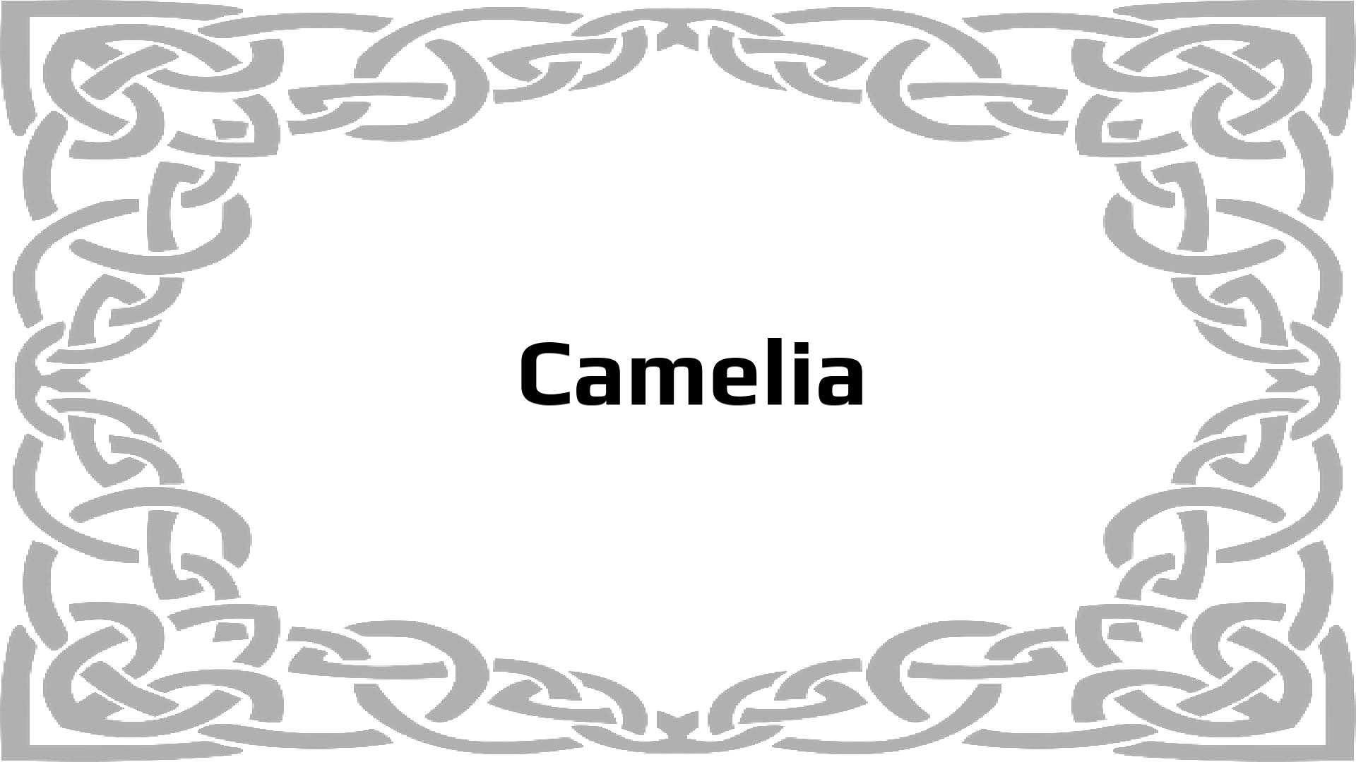 Nombres que significan Presente