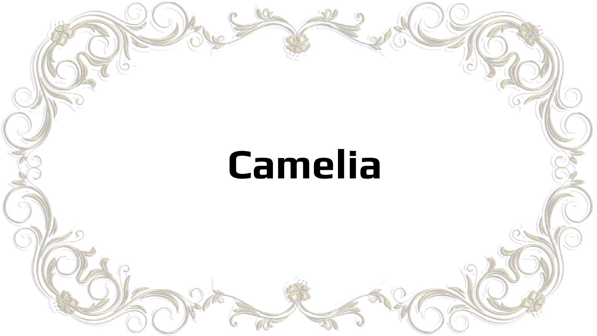 Nombres que significan Dedicada