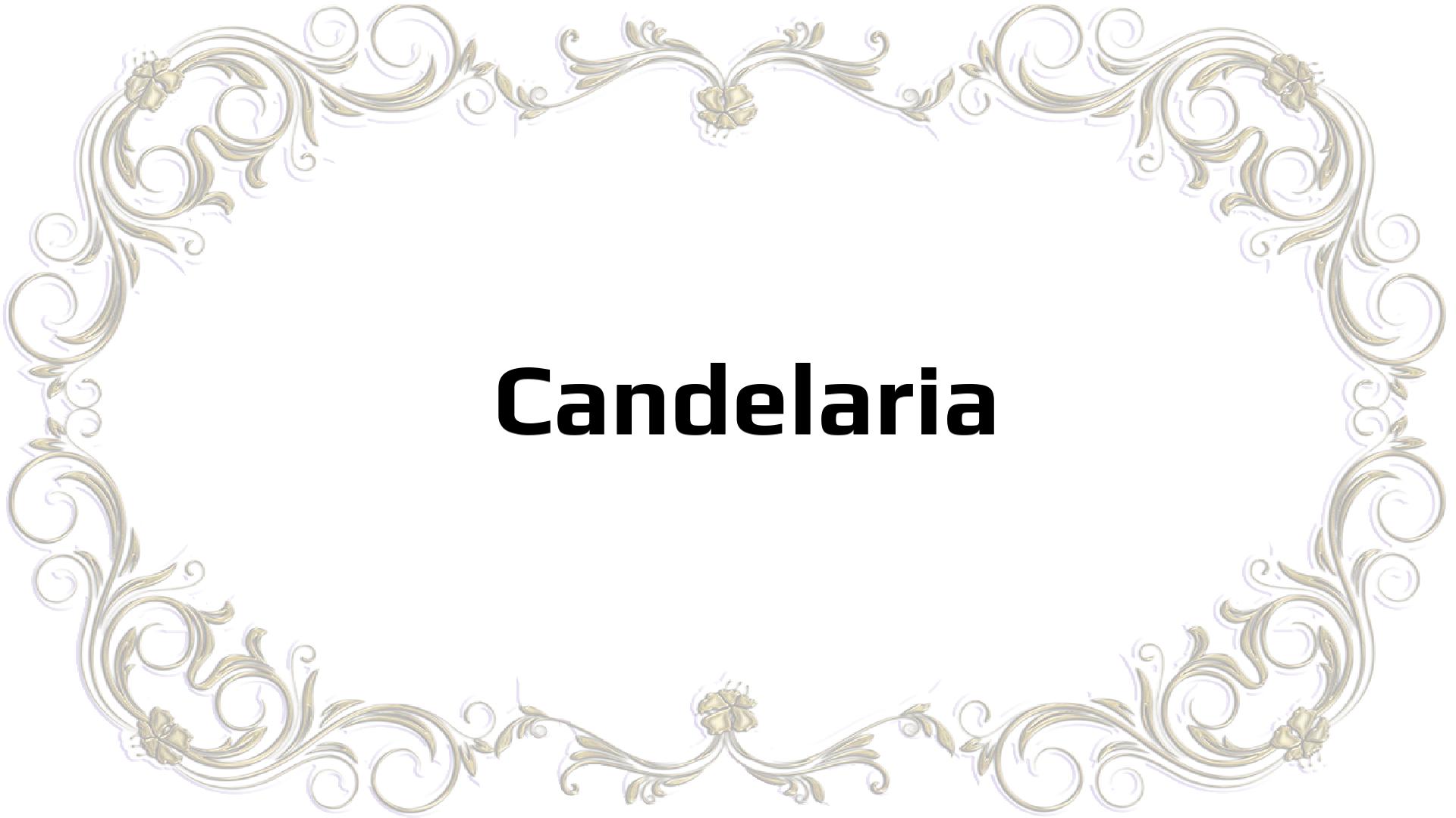 Nombres que significan Alcanzar