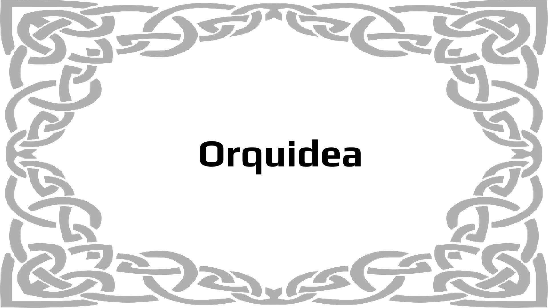 Nombres que significan Nombre