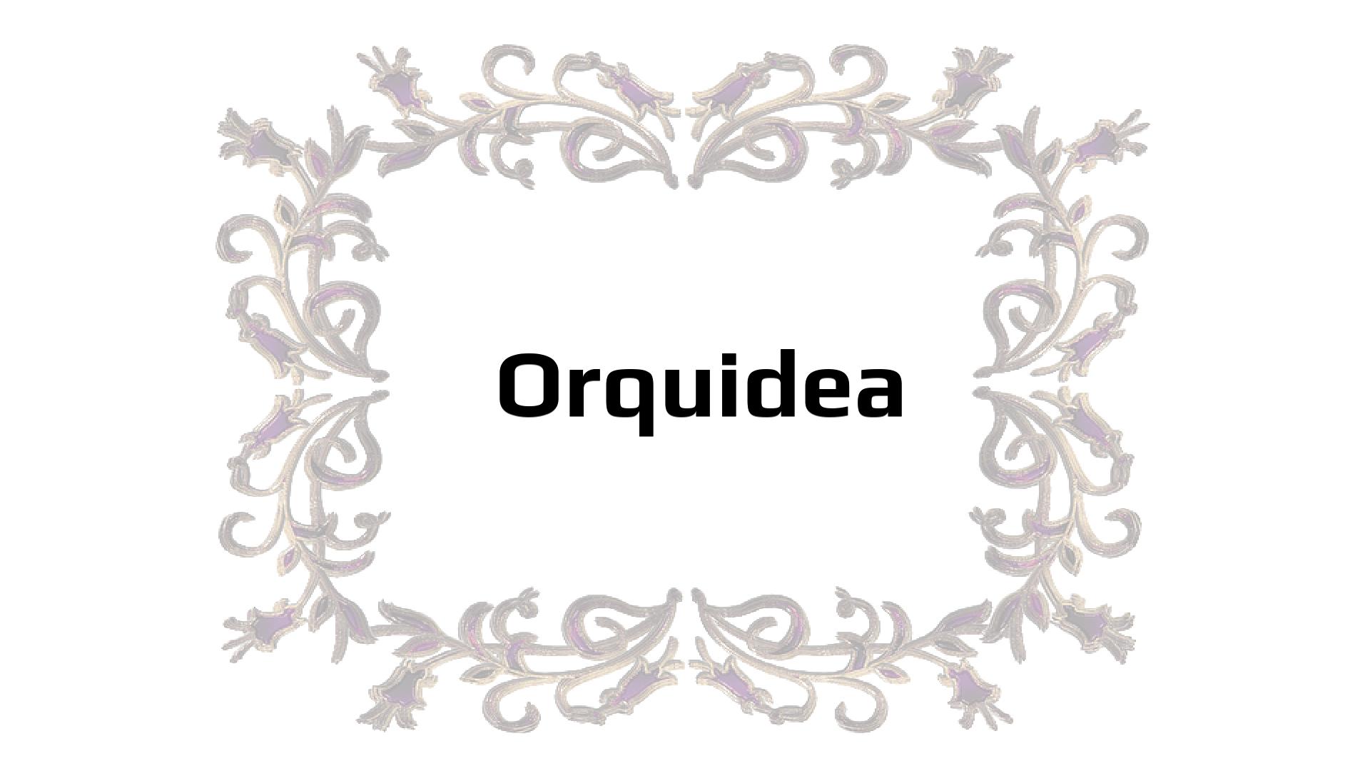 Nombres que significan Flor