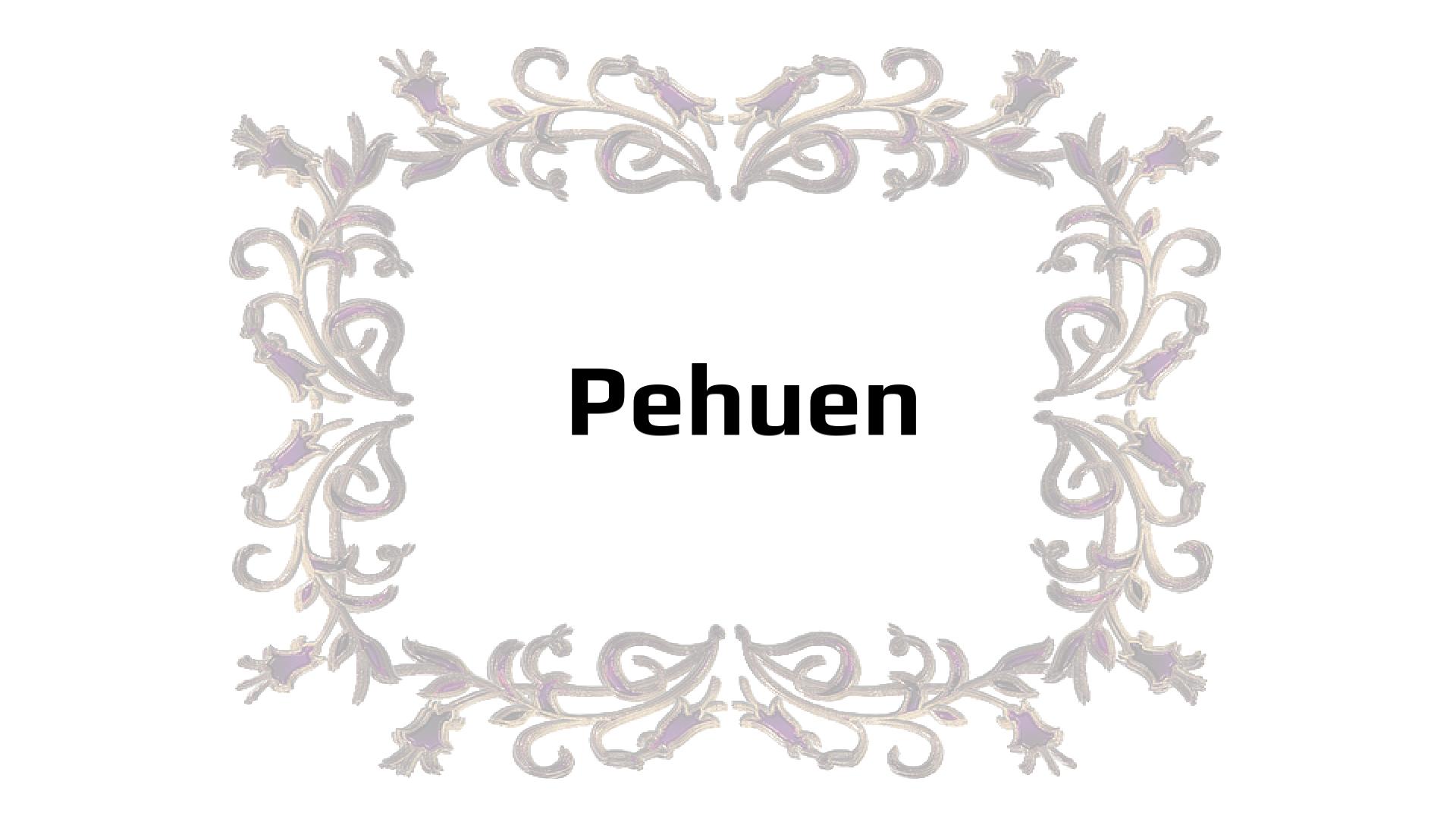 Nombres que significan Decidido